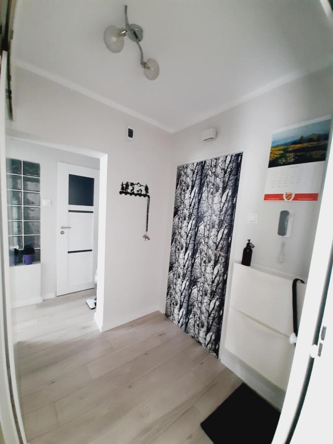 דירות פולניסה-ז'דוז' Apartament W Polanicy מראה חיצוני תמונה