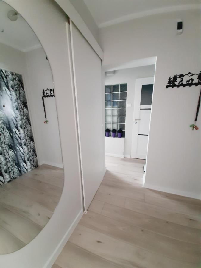 דירות פולניסה-ז'דוז' Apartament W Polanicy מראה חיצוני תמונה