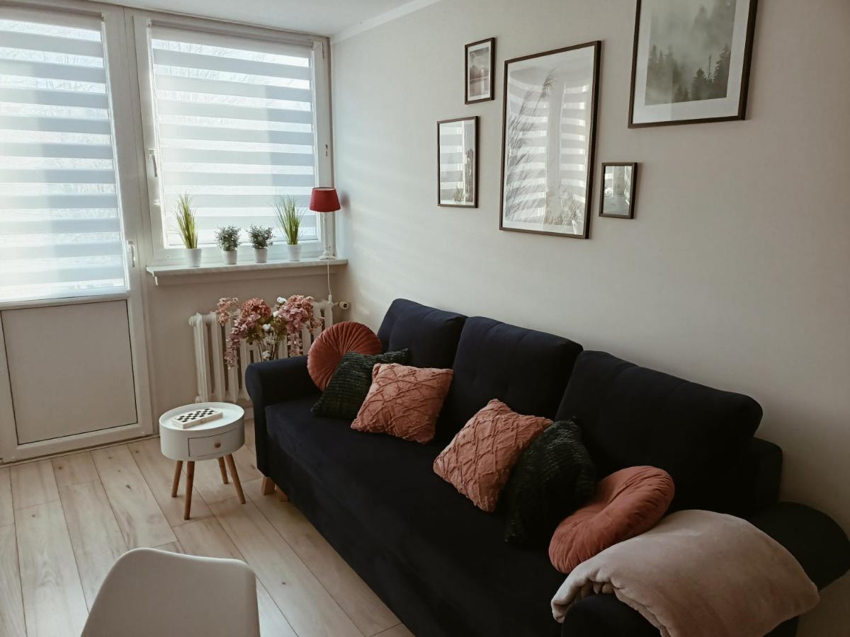 דירות פולניסה-ז'דוז' Apartament W Polanicy מראה חיצוני תמונה